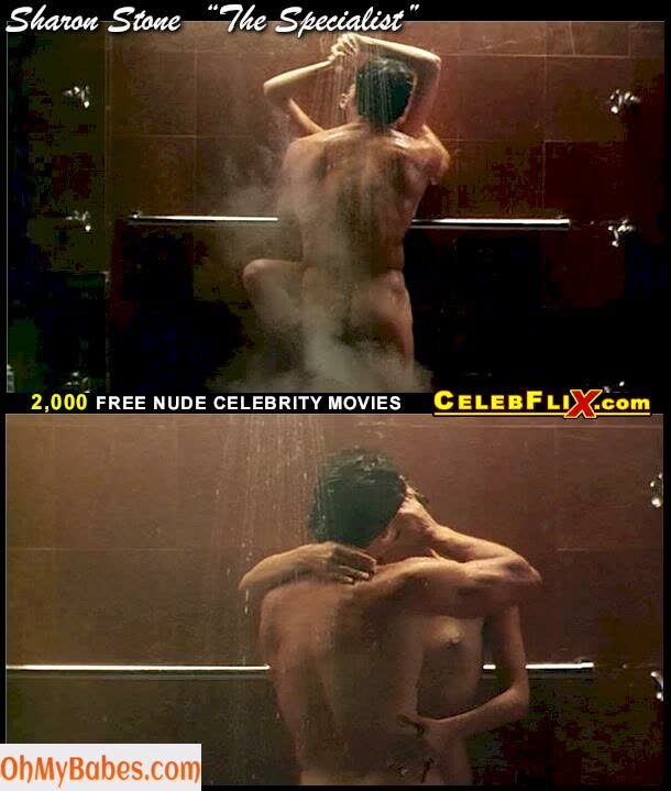 Sharon Stone Nude Leaked photo #22 - OhMyBabes