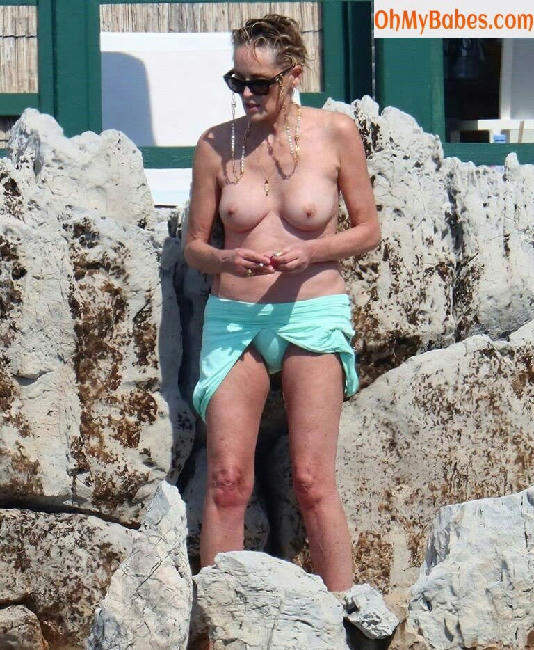 Sharon Stone Nude Leaked photo #50 - OhMyBabes