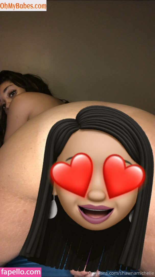 Shawnamichelle OnlyFans leaked photo #82 - OhMyBabes