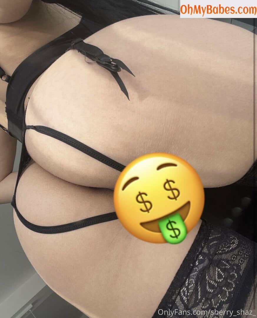 sherry_shaz_ OnlyFans leaked photo #102 - OhMyBabes