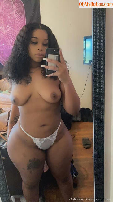 silkstunnaaa OnlyFans leaked photo #14 - OhMyBabes