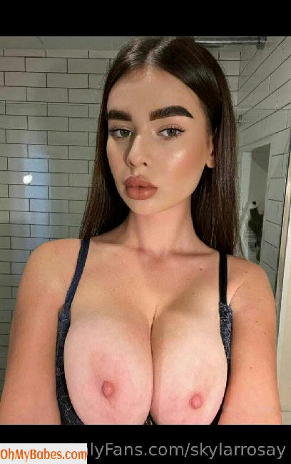 skylarrosay OnlyFans leaked photo #15 - OhMyBabes