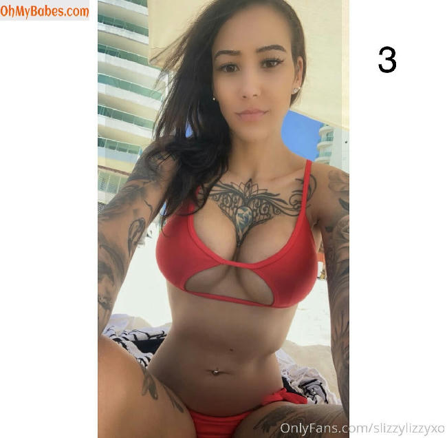 slizzylizzyxo OnlyFans leaked photo #28 - OhMyBabes