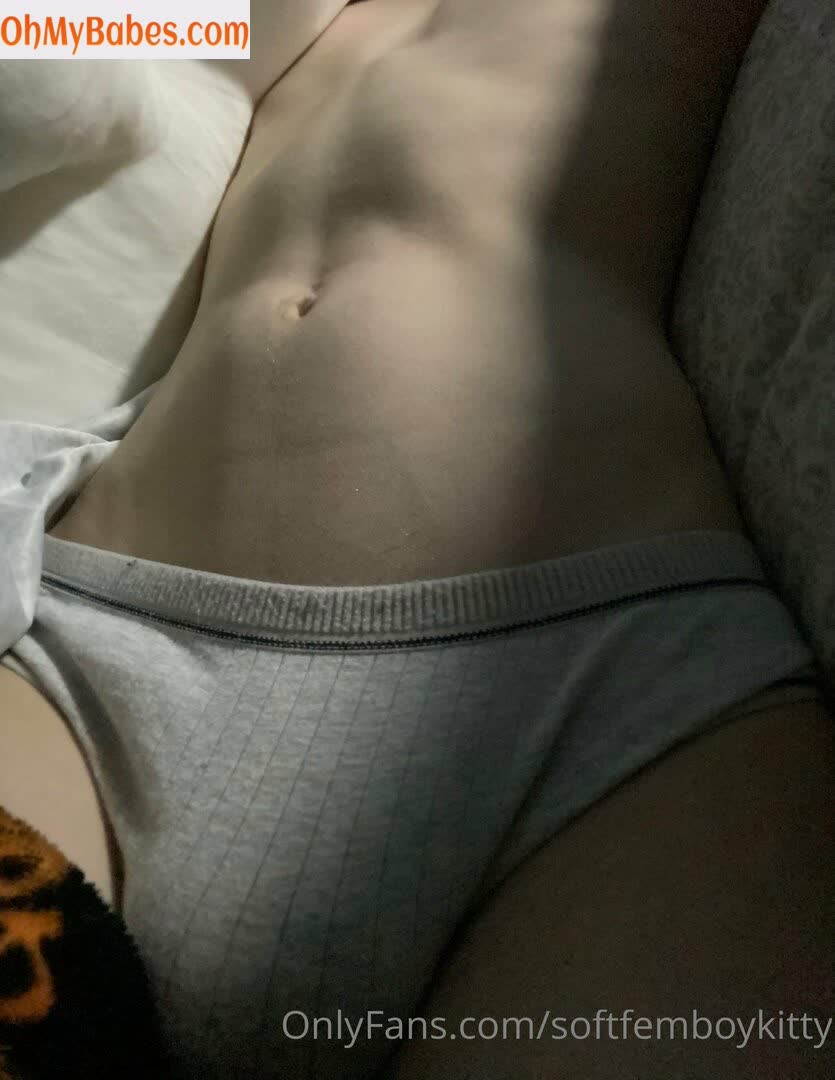 softfemboykitty OnlyFans leaked photo #26 - OhMyBabes