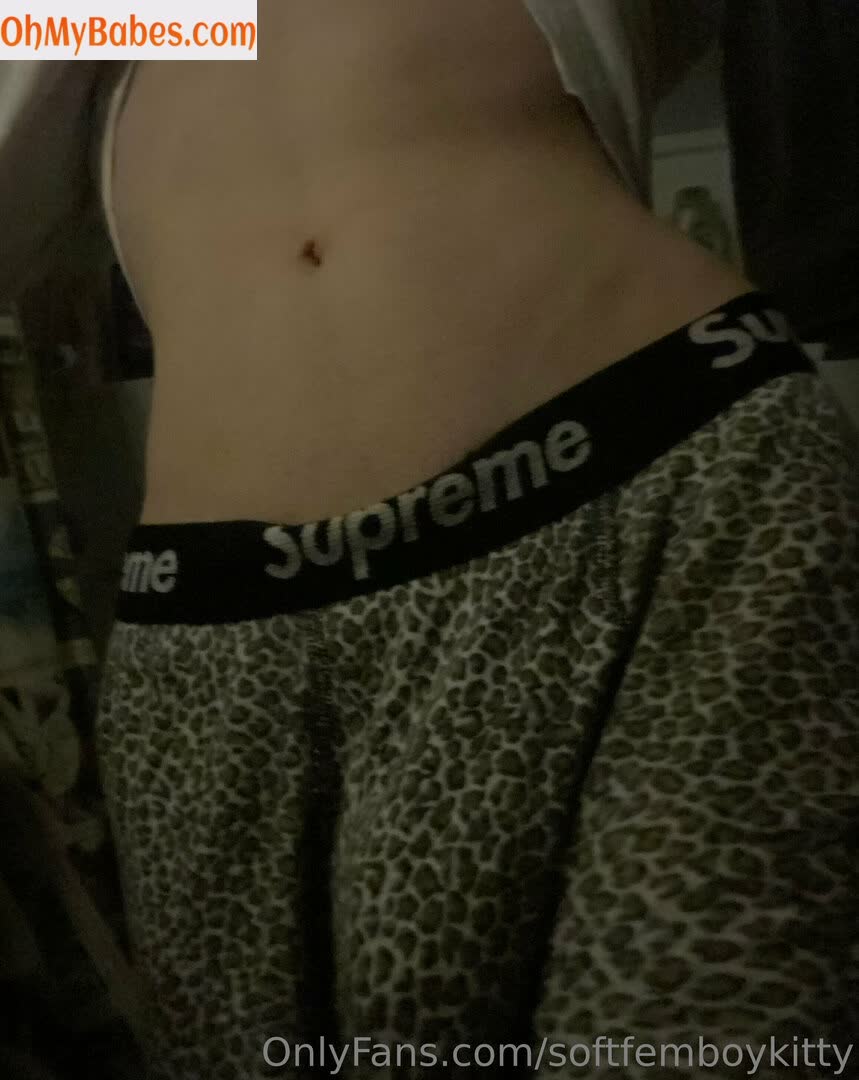 softfemboykitty OnlyFans leaked photo #31 - OhMyBabes