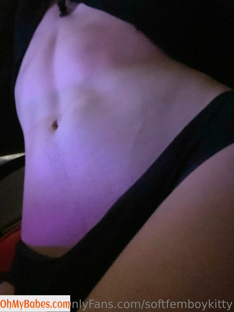 softfemboykitty OnlyFans leaked photo #33 - OhMyBabes