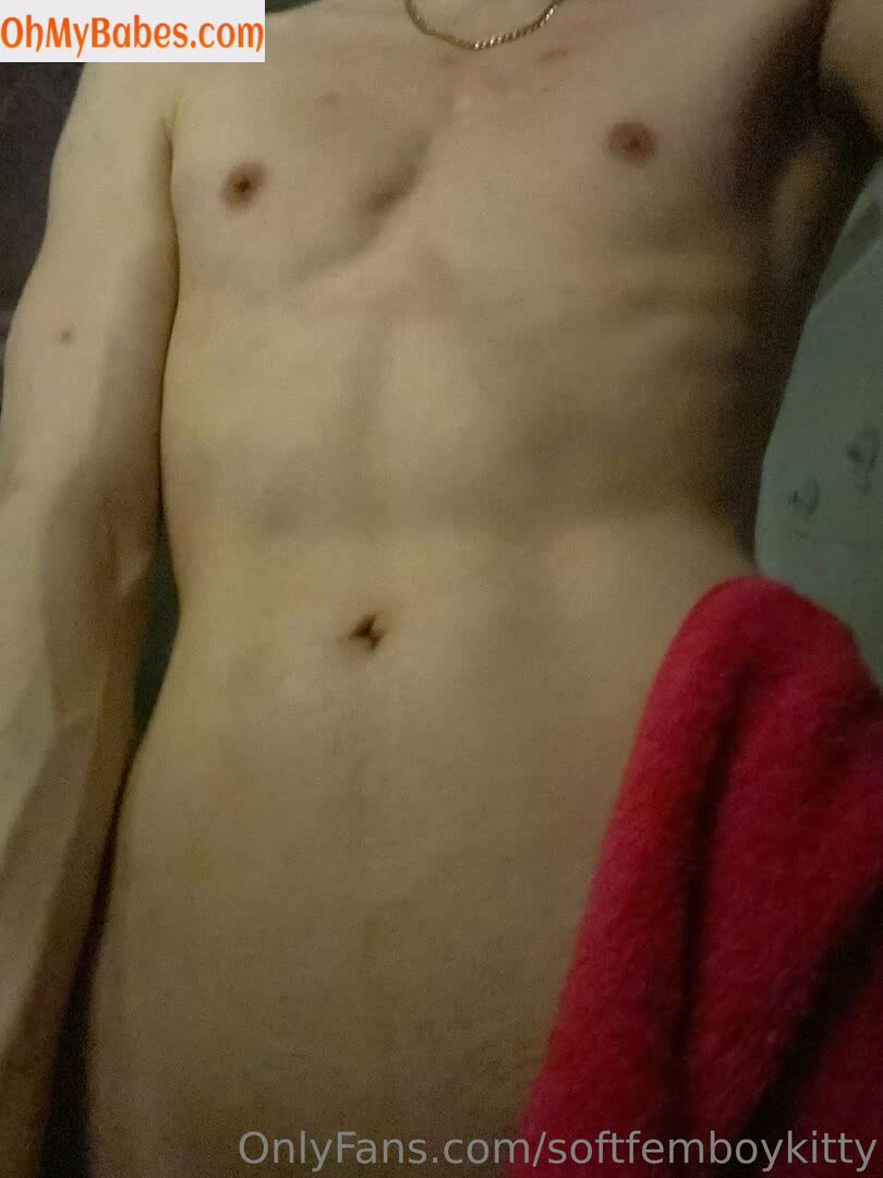 softfemboykitty OnlyFans leaked photo #107 - OhMyBabes