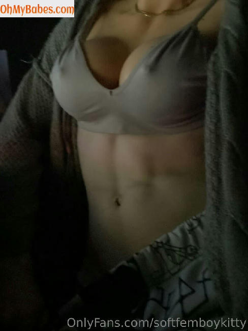 softfemboykitty OnlyFans leaked photo #90 - OhMyBabes