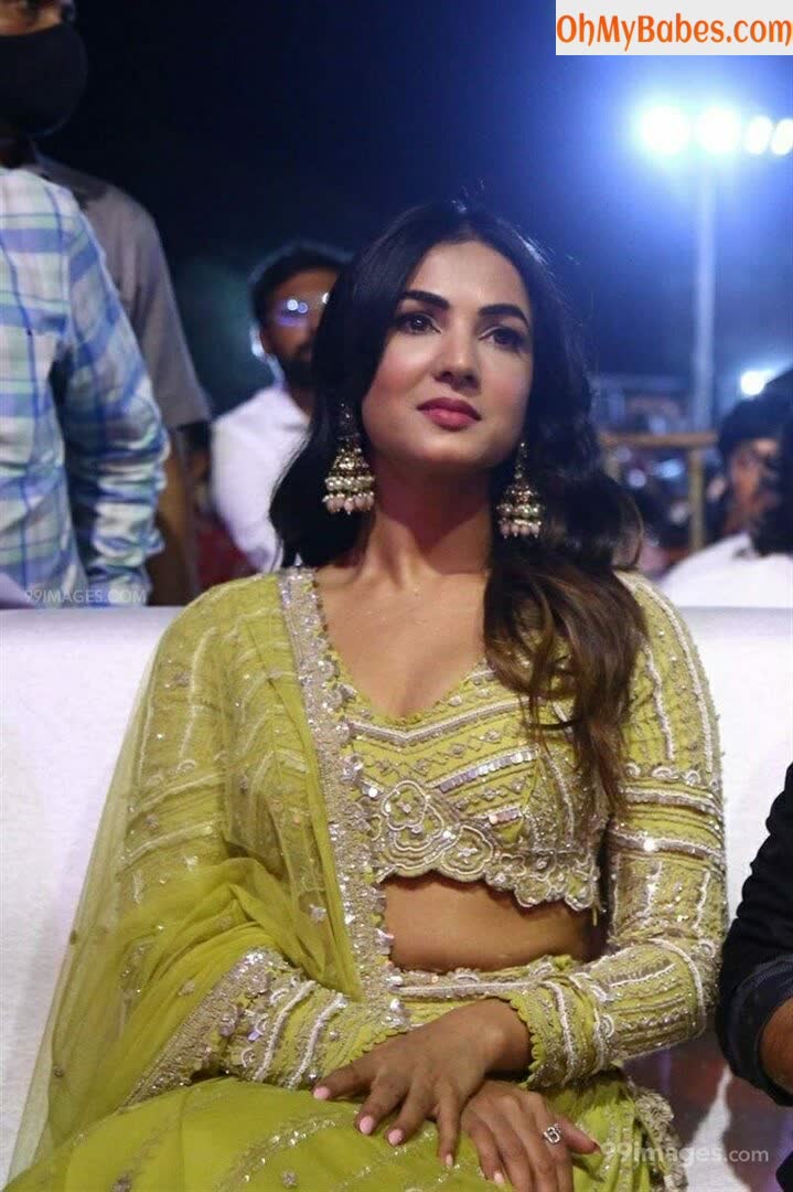 Sonal Chauhan Nude Leaked photo #38 - OhMyBabes