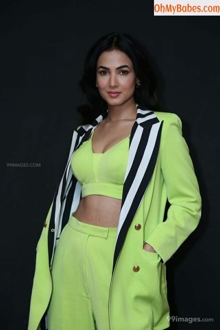 Sonal Chauhan Nude Leaked photo #44 - OhMyBabes