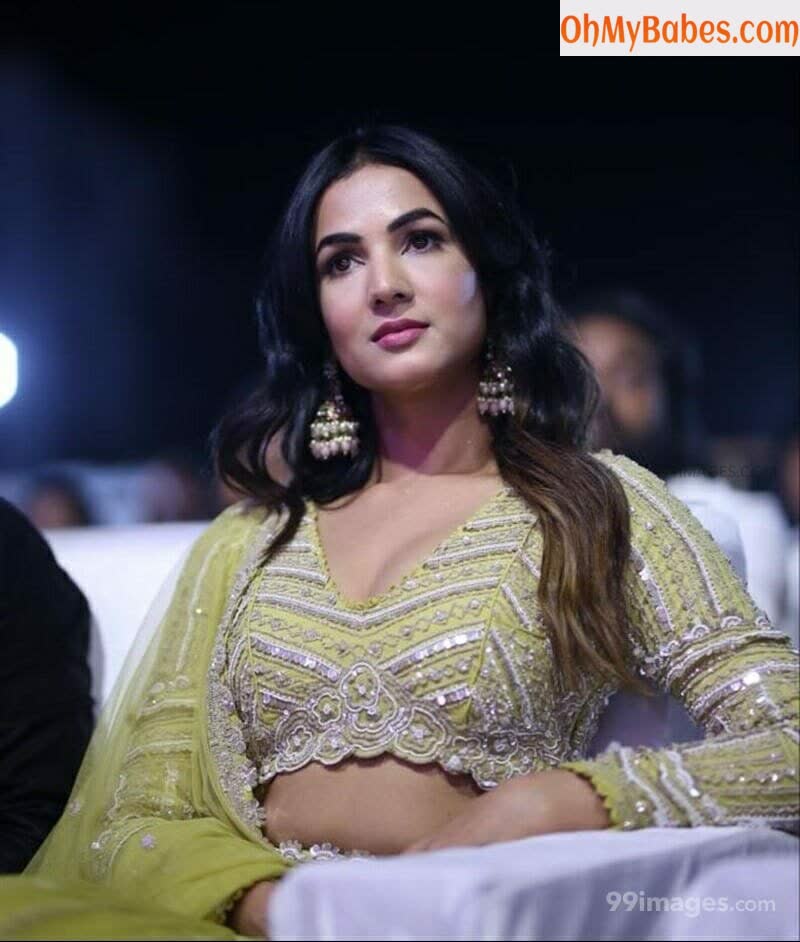 Sonal Chauhan Nude Leaked photo #46 - OhMyBabes