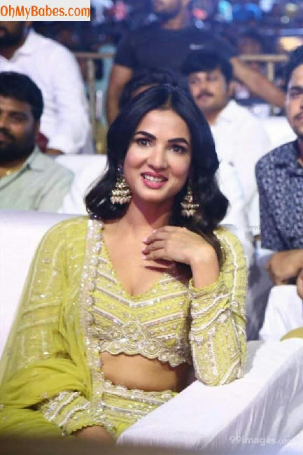 Sonal Chauhan Nude Leaked photo #2 - OhMyBabes