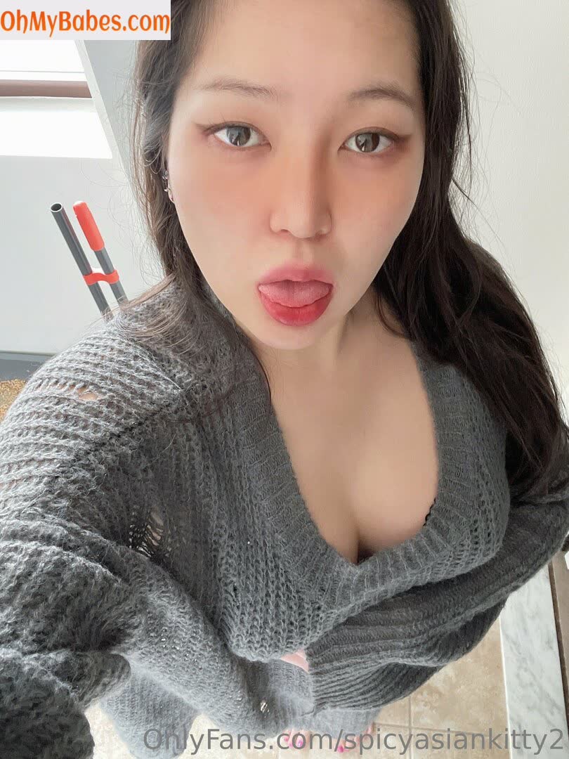 spicyasiankitty2 OnlyFans leaked photo #5 - OhMyBabes