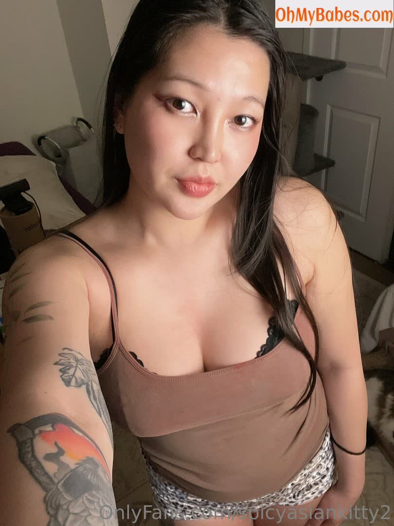 spicyasiankitty2 OnlyFans leaked photo #13 - OhMyBabes