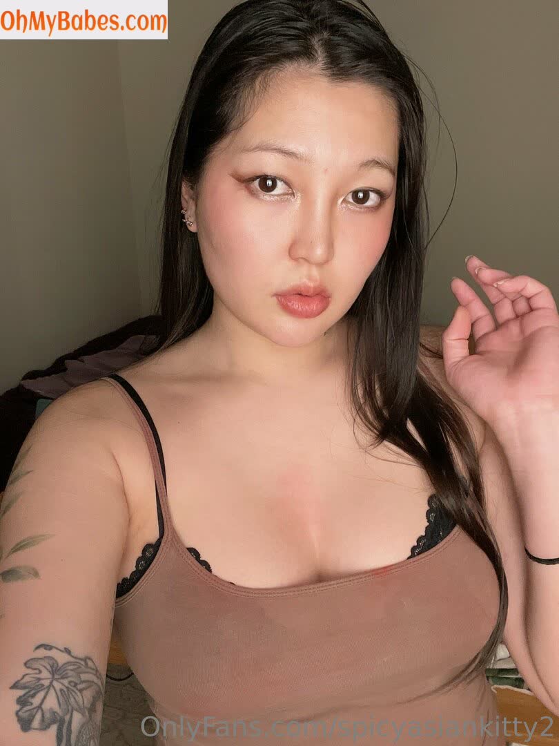 spicyasiankitty2 OnlyFans leaked photo #15 - OhMyBabes