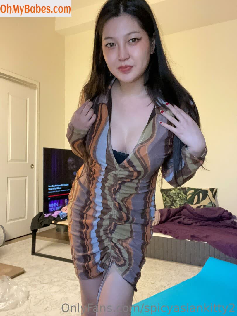 spicyasiankitty2 OnlyFans leaked photo #19 - OhMyBabes