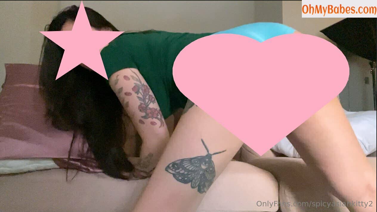 spicyasiankitty2 OnlyFans leaked photo #26 - OhMyBabes