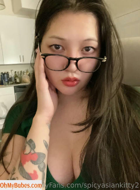 spicyasiankitty2 OnlyFans leaked photo #6 - OhMyBabes