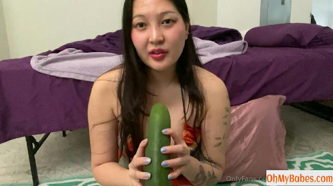 spicyasiankitty2 OnlyFans leaked photo #35 - OhMyBabes