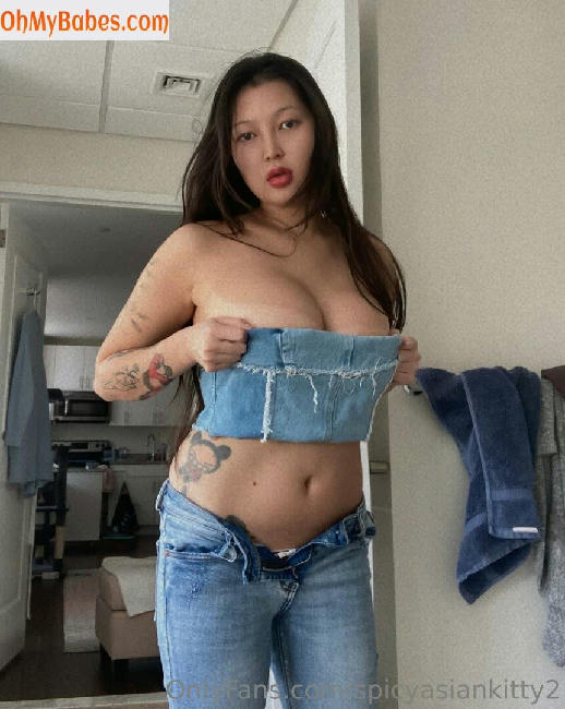 spicyasiankitty2 OnlyFans leaked photo #40 - OhMyBabes