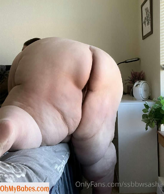 ssbbwsasha OnlyFans leaked photo #3 - OhMyBabes