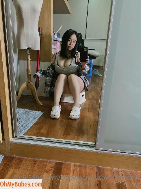 strawberry_soju_princess OnlyFans leaked photo #32 - OhMyBabes