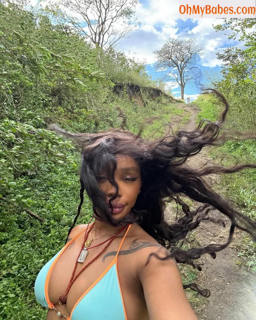 SZA OnlyFans leaked photo #227 - OhMyBabes