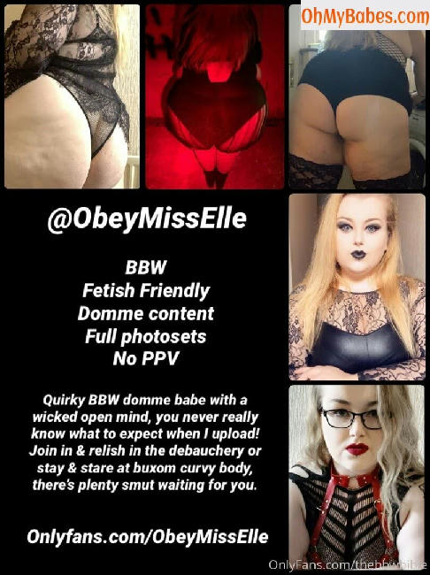 thebbwbible OnlyFans leaked photo #8 - OhMyBabes