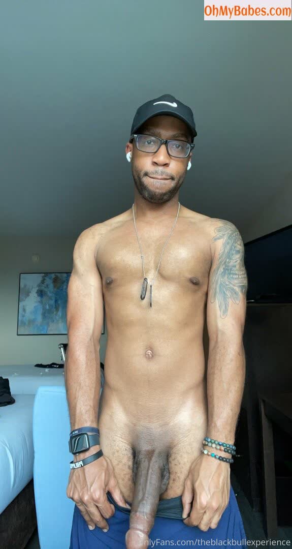 theblackbullexperience OnlyFans leaked photo #17 - OhMyBabes