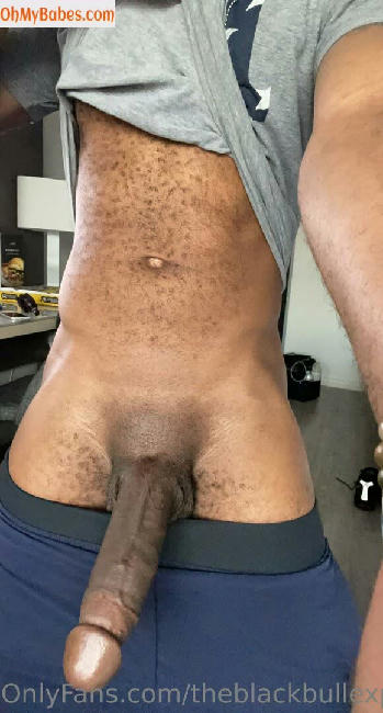 theblackbullexperience OnlyFans leaked photo #3 - OhMyBabes