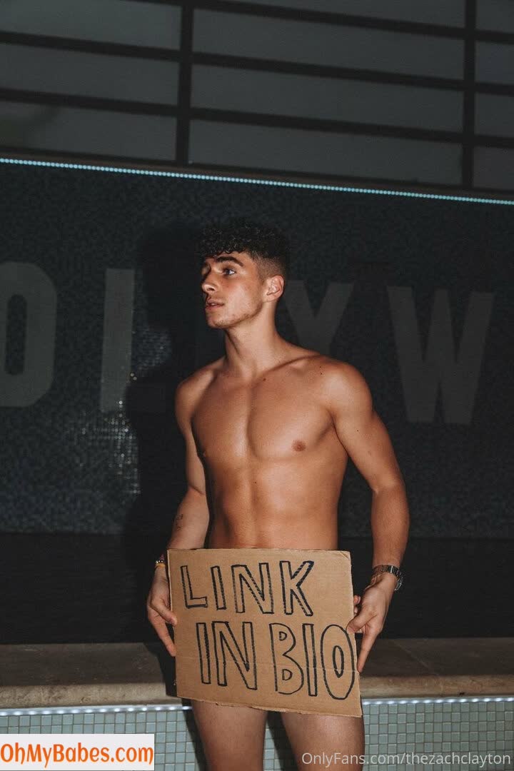 thezachclayton OnlyFans leaked photo #18 - OhMyBabes