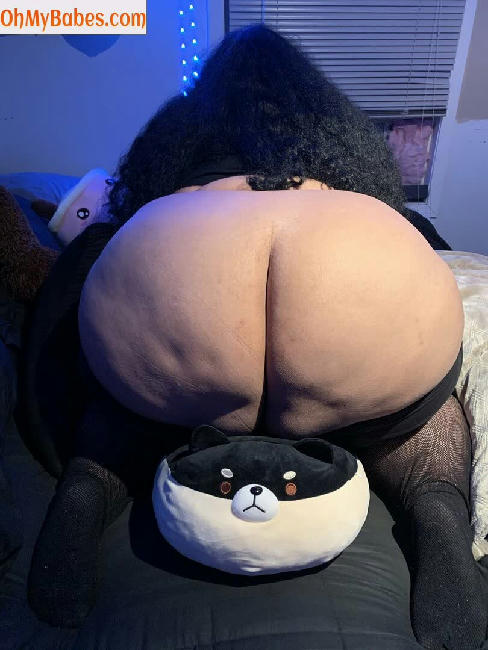 Thiccflix OnlyFans leaked photo #4 - OhMyBabes