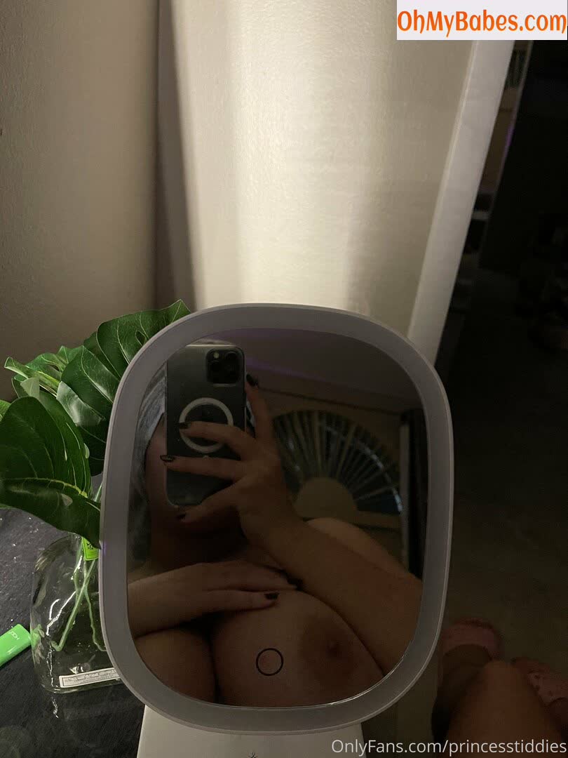 tiddiesbabe OnlyFans leaked photo #16 - OhMyBabes