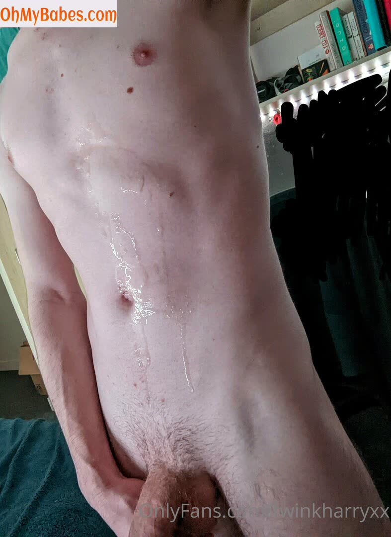 twinkharryxx OnlyFans leaked photo #19 - OhMyBabes