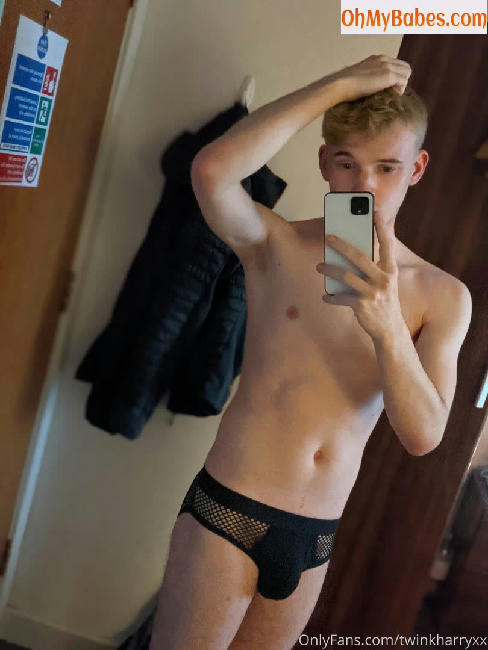 twinkharryxx OnlyFans leaked photo #4 - OhMyBabes