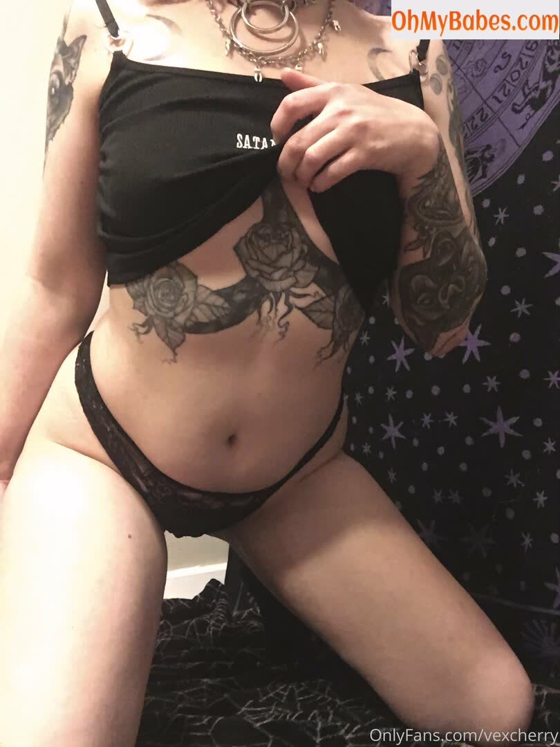 vexcherry OnlyFans leaked photo #44 - OhMyBabes