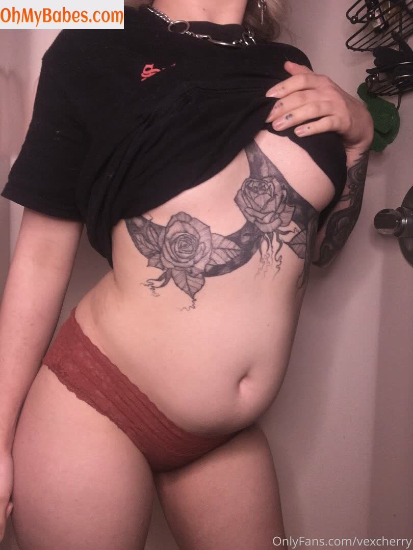 vexcherry OnlyFans leaked photo #79 - OhMyBabes