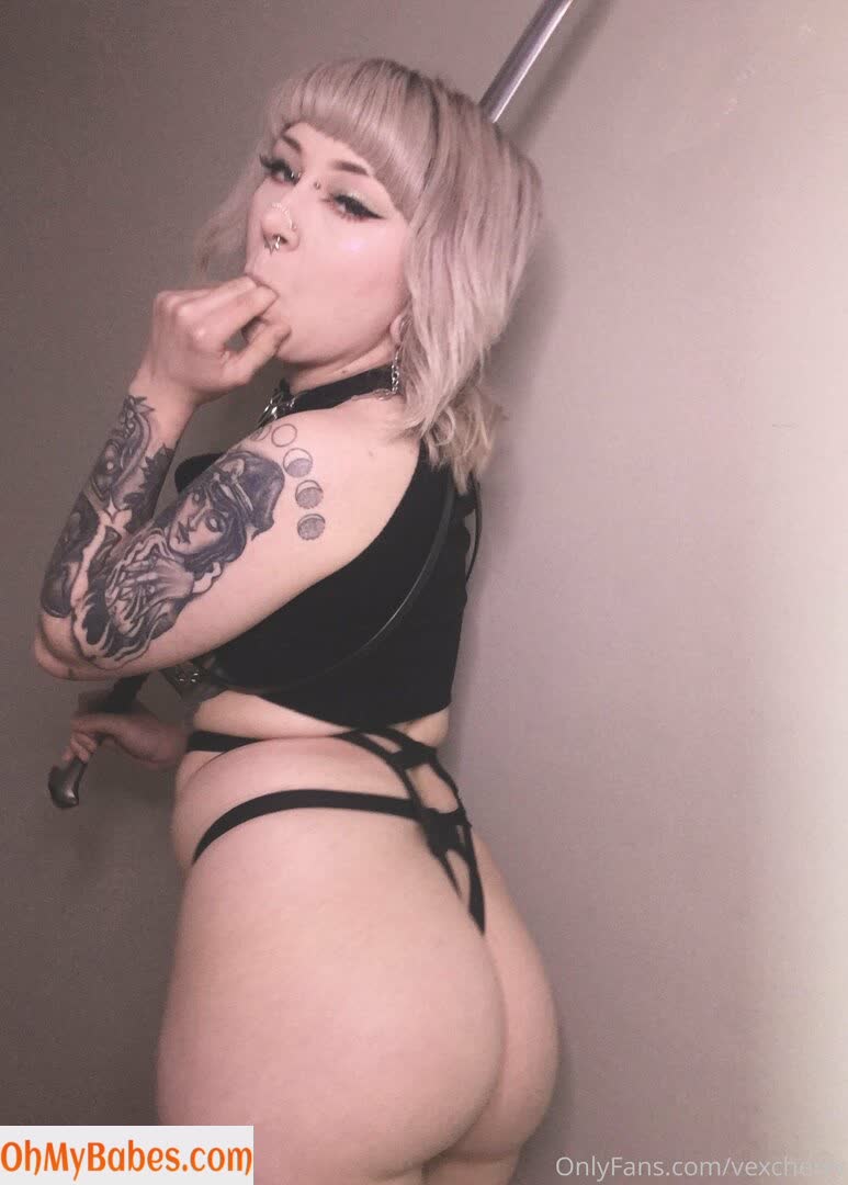 vexcherry OnlyFans leaked photo #99 - OhMyBabes