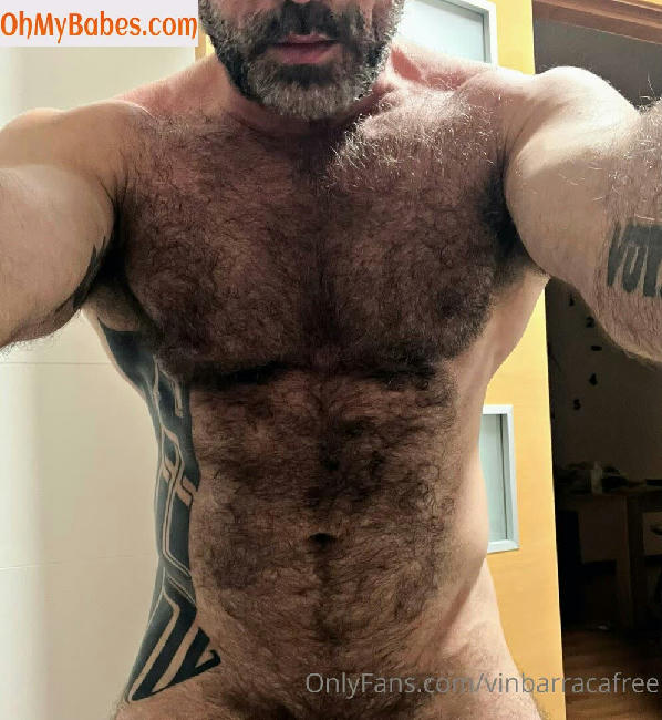 vinbarracafree OnlyFans leaked photo #3 - OhMyBabes