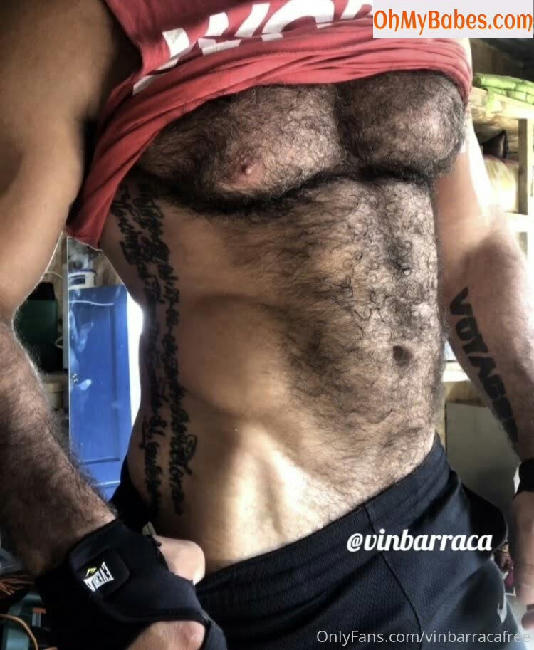 vinbarracafree OnlyFans leaked photo #20 - OhMyBabes