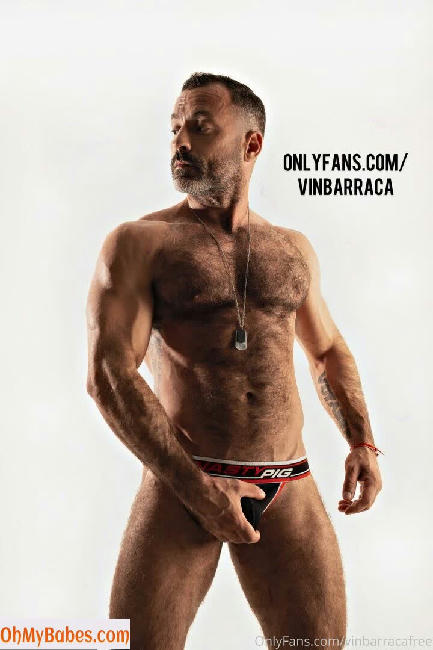 vinbarracafree OnlyFans leaked photo #29 - OhMyBabes