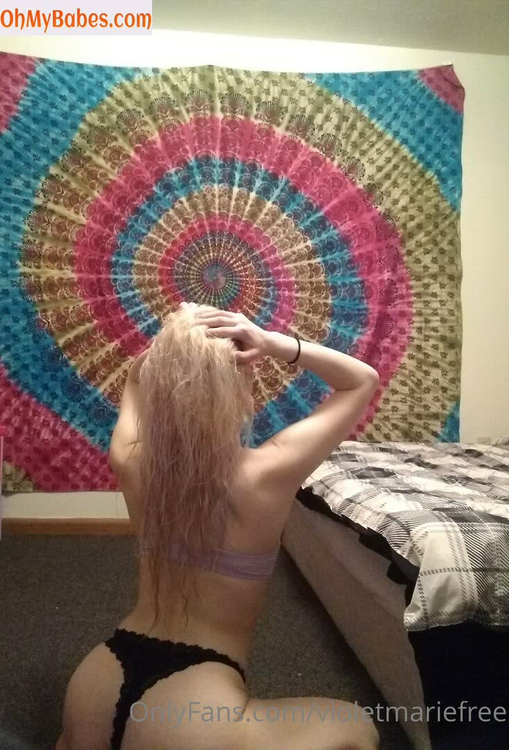 violetmariefree OnlyFans leaked photo #29 - OhMyBabes