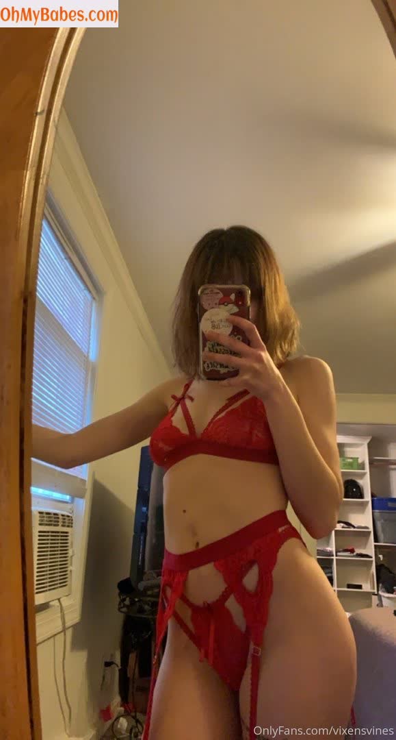 vixensvines OnlyFans leaked photo #1 - OhMyBabes