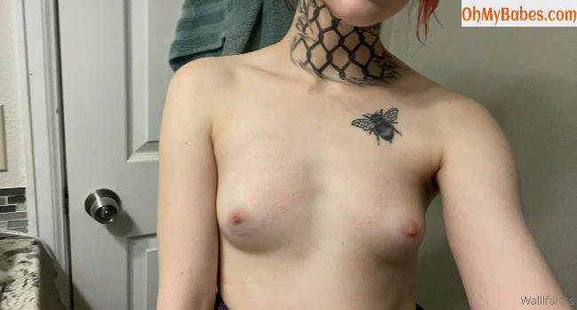 Wallfartss Nude Leaked photo #37 - OhMyBabes