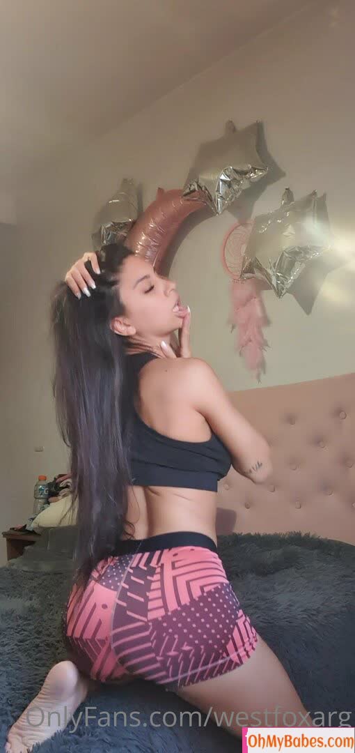 westfoxarg OnlyFans leaked photo #7 - OhMyBabes