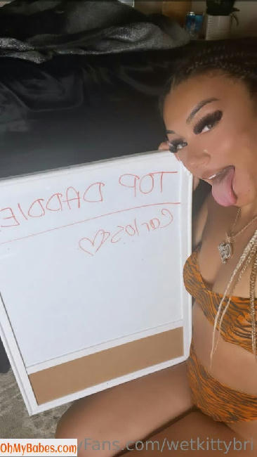 wetkittybri OnlyFans leaked photo #38 - OhMyBabes