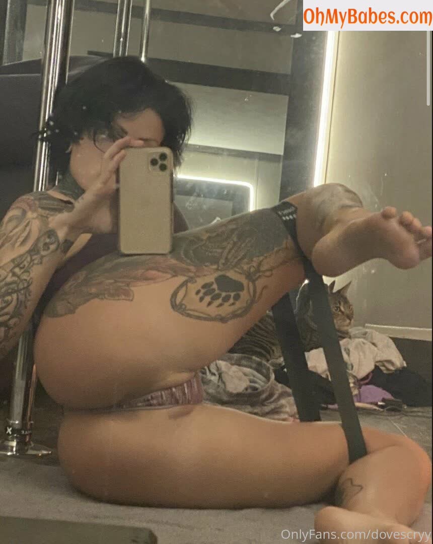 whitedovecries OnlyFans leaked photo #35 - OhMyBabes