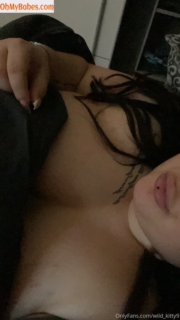 wild_kitty9 OnlyFans leaked photo #20 - OhMyBabes