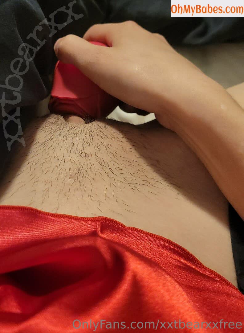 xxtbearxxfree OnlyFans leaked photo #131 - OhMyBabes