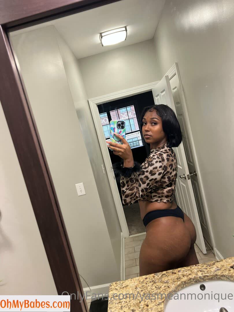 yasmeanmonique OnlyFans leaked photo #31 - OhMyBabes